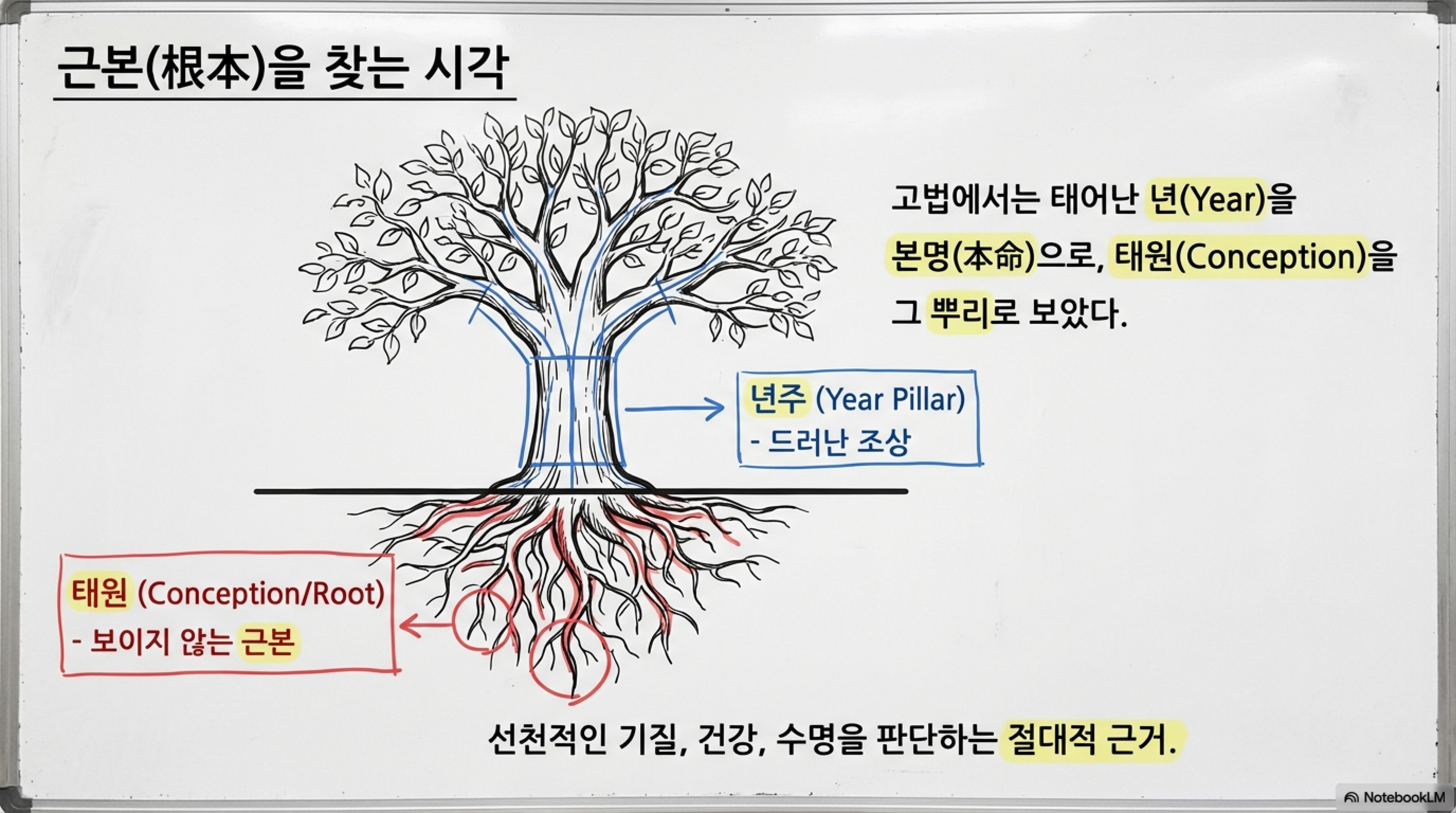 보이지 않는 근본, 뿌리